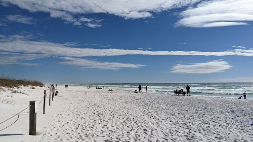 Grayton Beach State Park Campground - Thumbnail