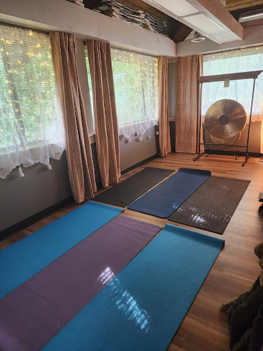 Radiant Life Holistic Wellness Center - Naperville