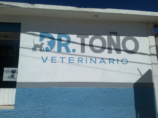 Dr. Toño - Thumbnail