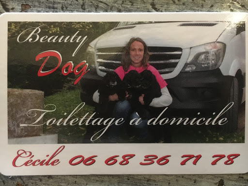 BeautyDog Toilettage à Domicile - Thumbnail