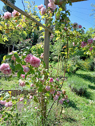 Photo n°4 de Centre ayurveda yoga Presence Béatrice Marin à Bourg-de-Péage (Professeur de yoga)