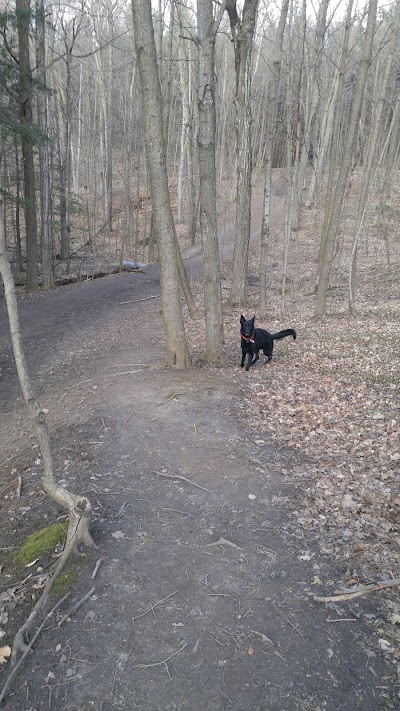 Photos of Crown land trail