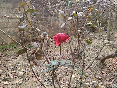 Photos of متحف الزبيرية