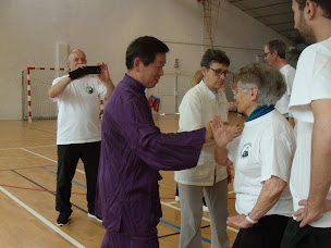 Photo n°9 de Tai Ji Qi Gong Wu Xing Tao à Châtillon-Coligny (Club de sport)