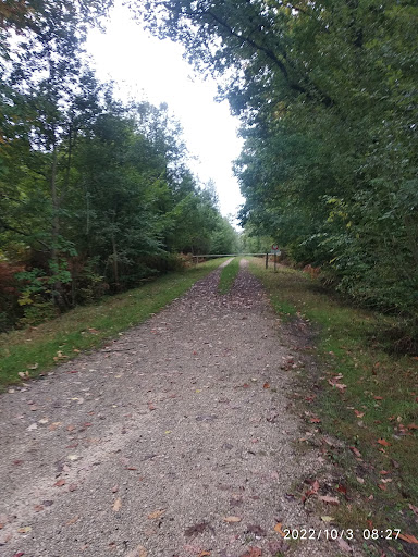 Randonnée dans la Forêt d'Othe - Thumbnail
