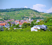 photo de Gästehaus Schätzle à Vogtsburg