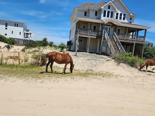 Wild Horse Adventure Tours - Thumbnail