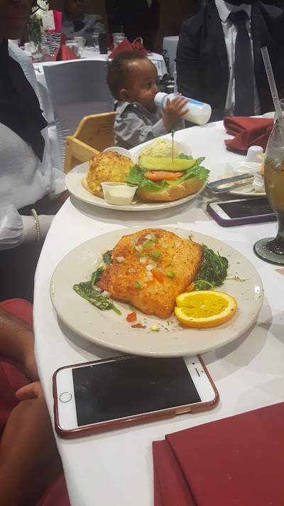 Photos of Blue Dolphin Seafood Bar & Grill