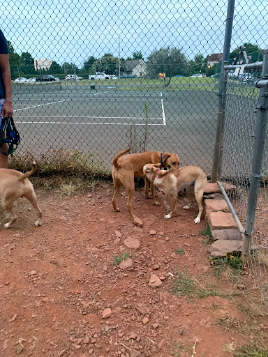 Heritage Forest Dog Park - Thumbnail