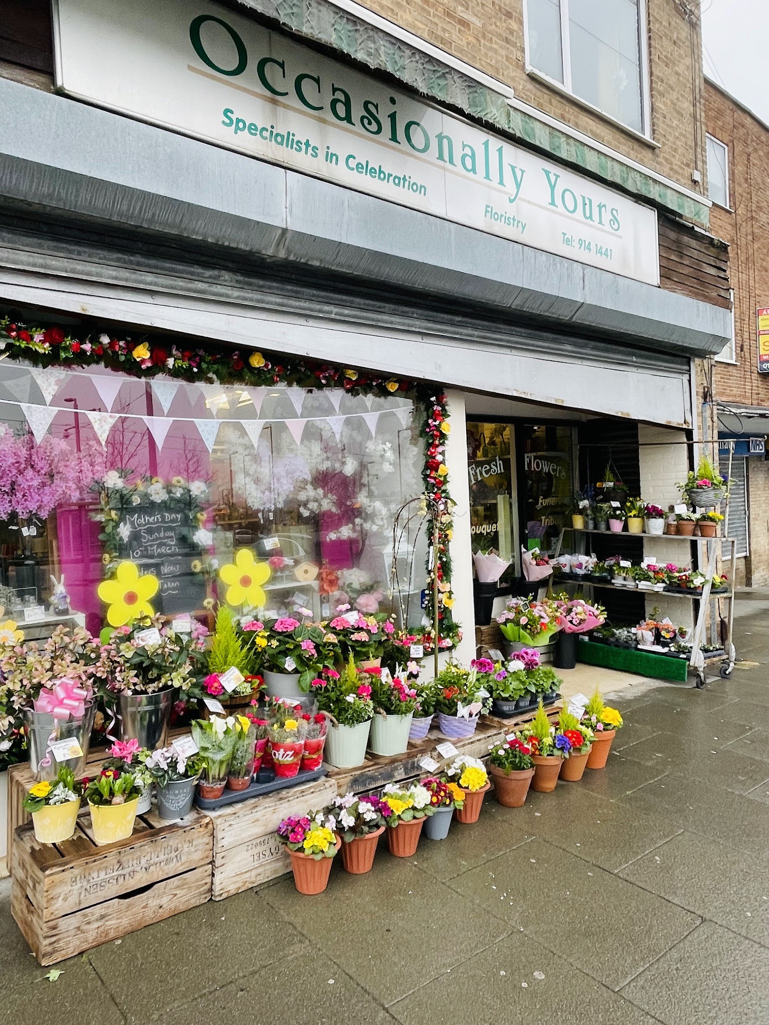 Occasionally Yours flowers - Florists - photo 1