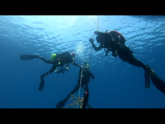Diving Dromia Sub Diving Center Puglia| Scuba Diving Salento/Diving Puglia