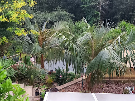 Landare Exotikoen Lorategia /plantes exotiques Garden Gallery - France