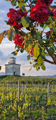 Torre Belvedere - Thumbnail