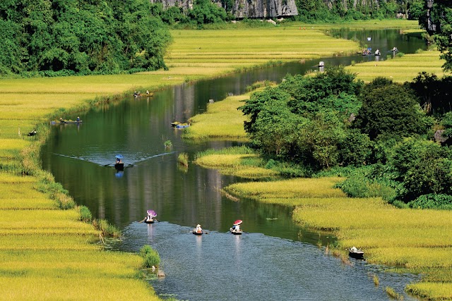 Trang An Ninh Binh Interior Decoration Company