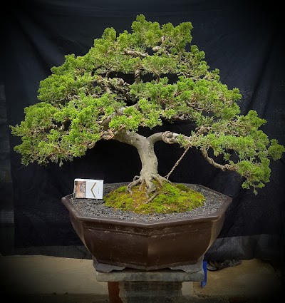 Photos of TIRTAYASA GARDEN 'N BOTANI