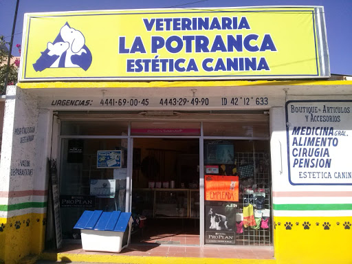 Clínica Veterinaria La Potranca
