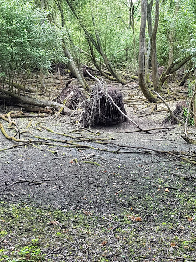 Cobbins Brook FAS - Thumbnail