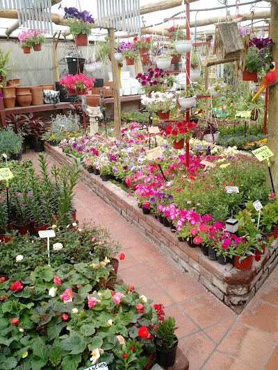 Photos of Vivero El Milagro