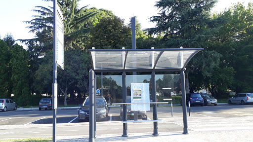 Mogliano Cimitero - Thumbnail