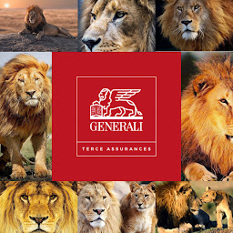 Photo n°8 de Assurance Generali - Terce et Olive Assurances Oloron à Oloron-Sainte-Marie (Agence d'assurance pour locataires)