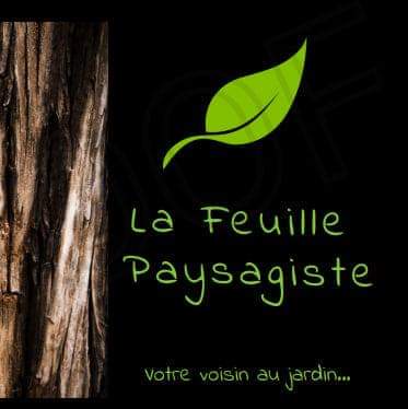Photo de La feuille