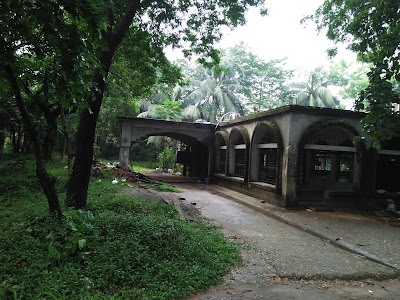Photos of Community Jame Masjid