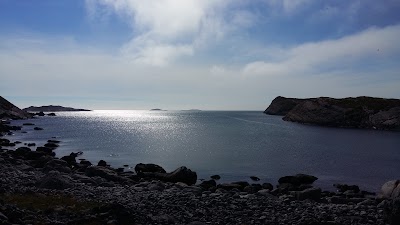 Photos of Puffin Colony at Lovund