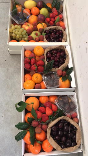 FRUCTUS Vimercate - Visual