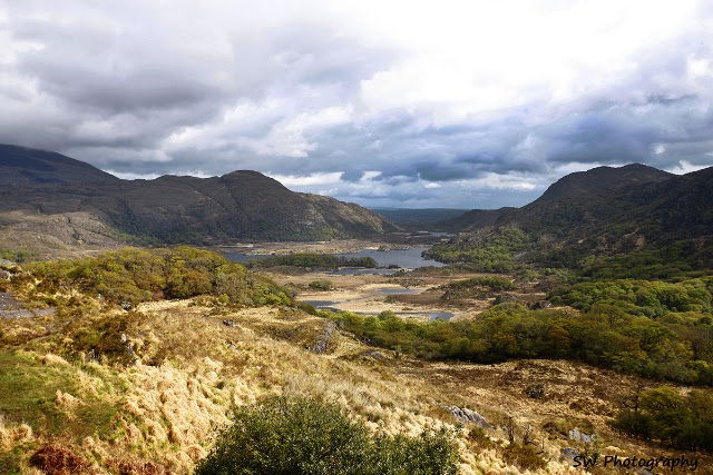 Molls Gap