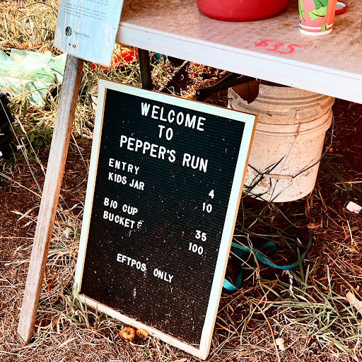 Pepper's Run - Thumbnail