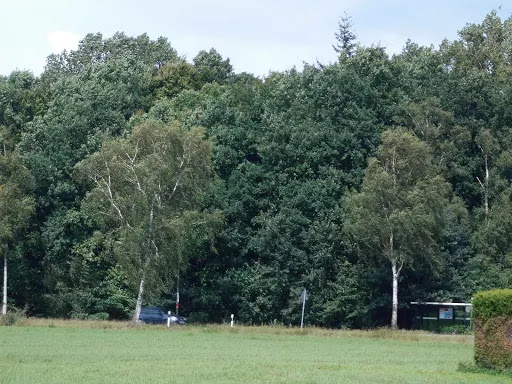 Osnabrück Kreisel Atterfeld - Thumbnail