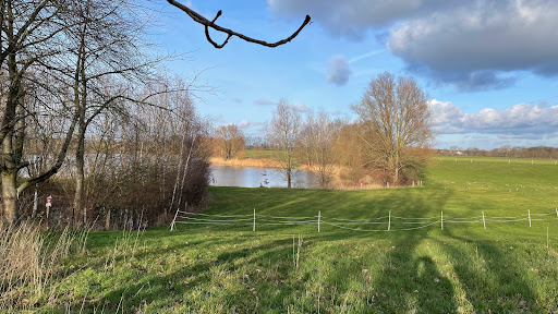 Ausblick auf Teich / See