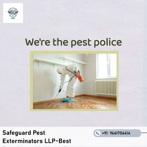 We're the pest police - keeping your home safe! post image