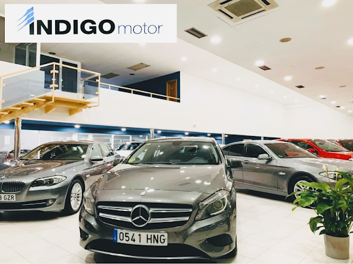 Indigo Motor - Visual