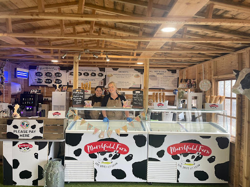 Moo's Ice Cream Bar
