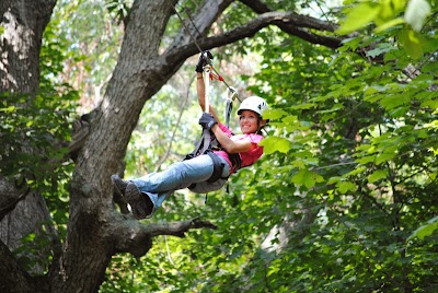 Skyward Adventures Zipline Tours