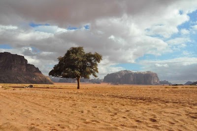 Photos of Khaled`s Camp - Wadi Rum