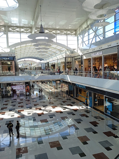 Cc Nevada - Visual