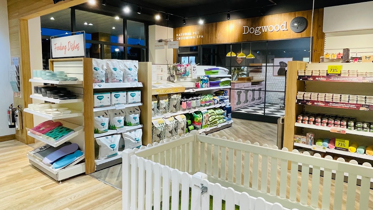 Pets Corner Cheltenham, Your Best Reviewed Local Pet Shop