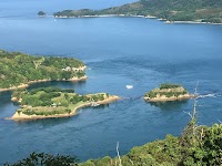 能島城跡上陸＆潮流クルーズ