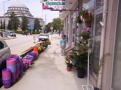 Photos of Uğur &Ccedil;i&ccedil;ek&ccedil;ilik 03567157444