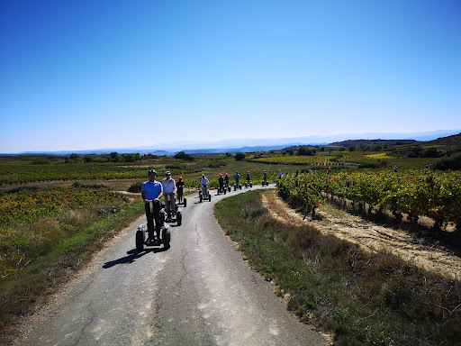 Segway la Rioja Gallery - Spain