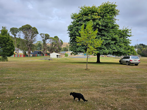 Forth Recreation Ground - Visual