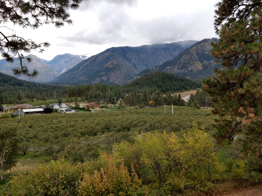 Fox Lodge - Visual
