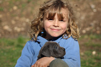 Élevage De Cane Corso LOF « De la cohorte romaine » à Régusse