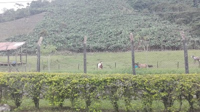 Photos of Finca Gualanday