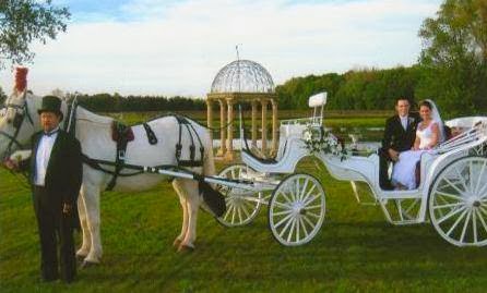 Buggies and Things Horse Drawn Carriage Service - Thumbnail