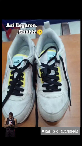 Sauces Lavandería - Cangallo