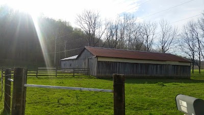 Photos of Yellowwood State Forest