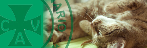 Clínica Veterinaria Ardila - Santiponce